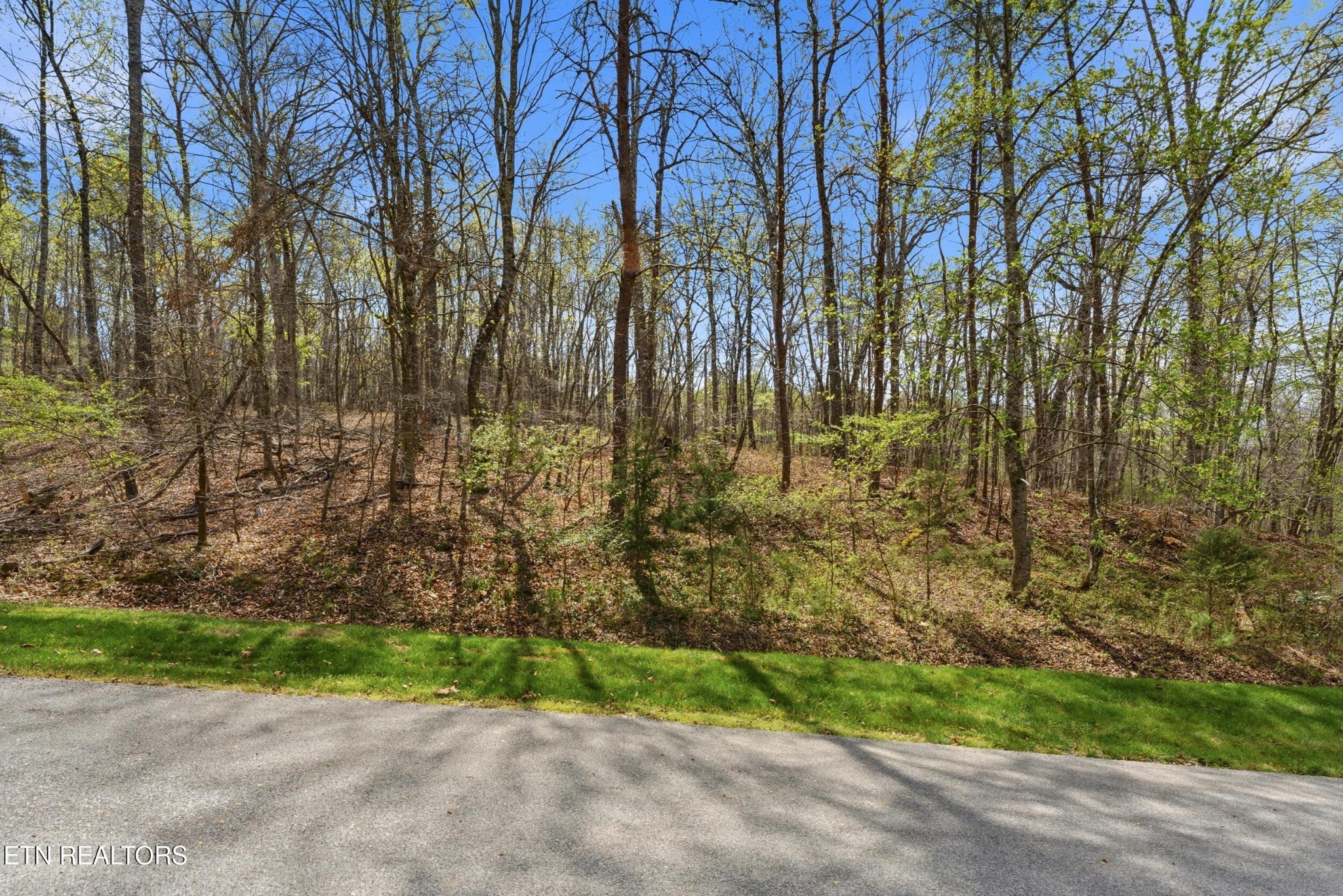1750 Lakeland Drive Aka 1 Headricks Co Lenoir City TN 37772