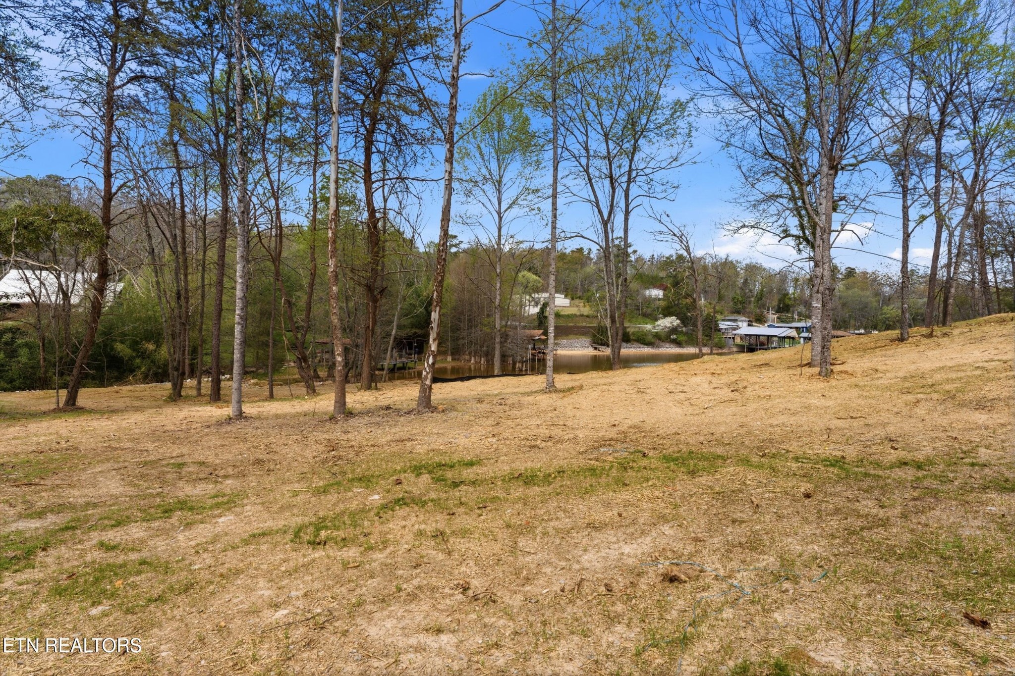 1750 Lakeland Drive Aka 1 Headricks Co Lenoir City TN 37772