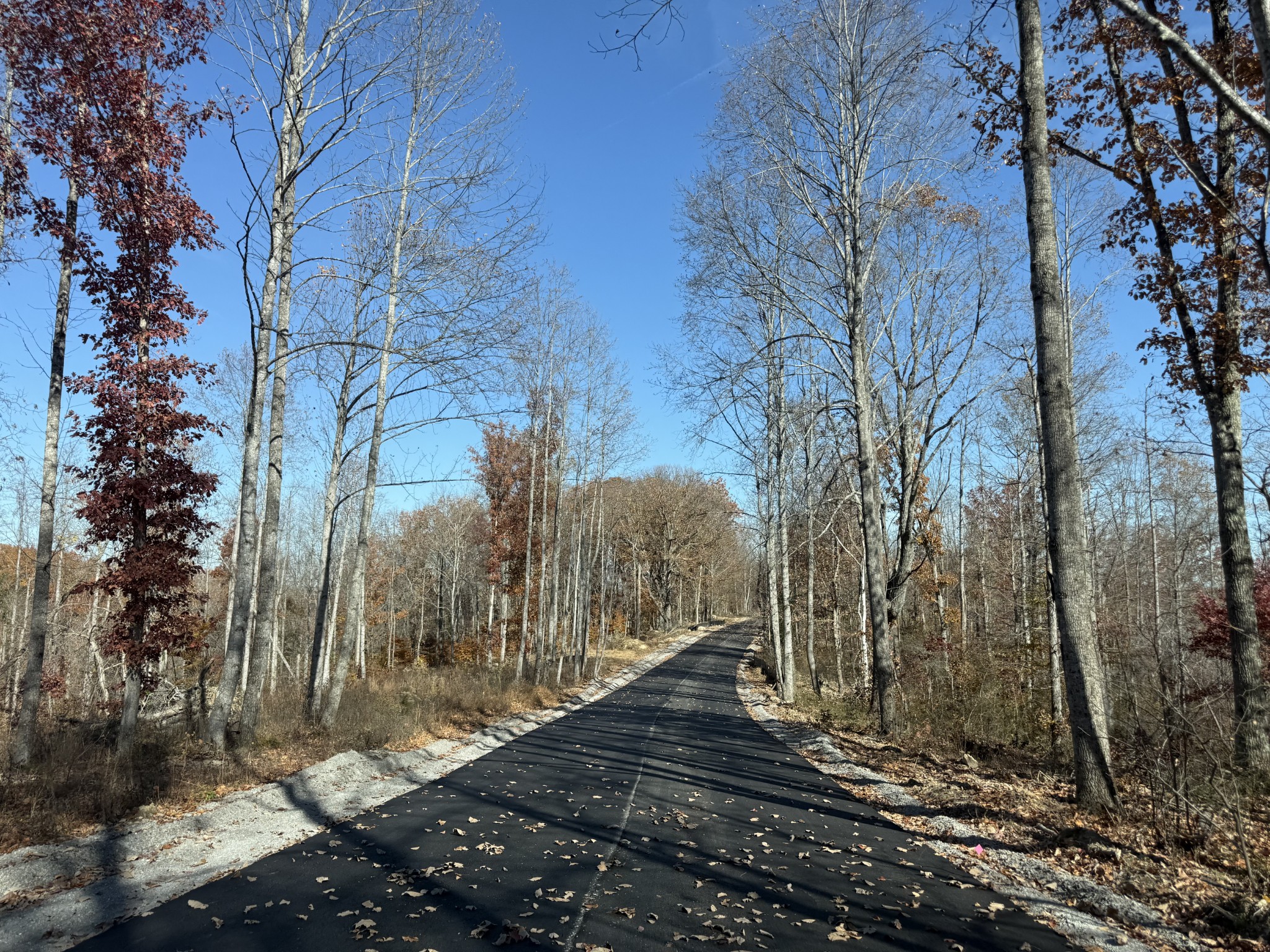 5 Falling Timber Drive Pegram TN 37143
