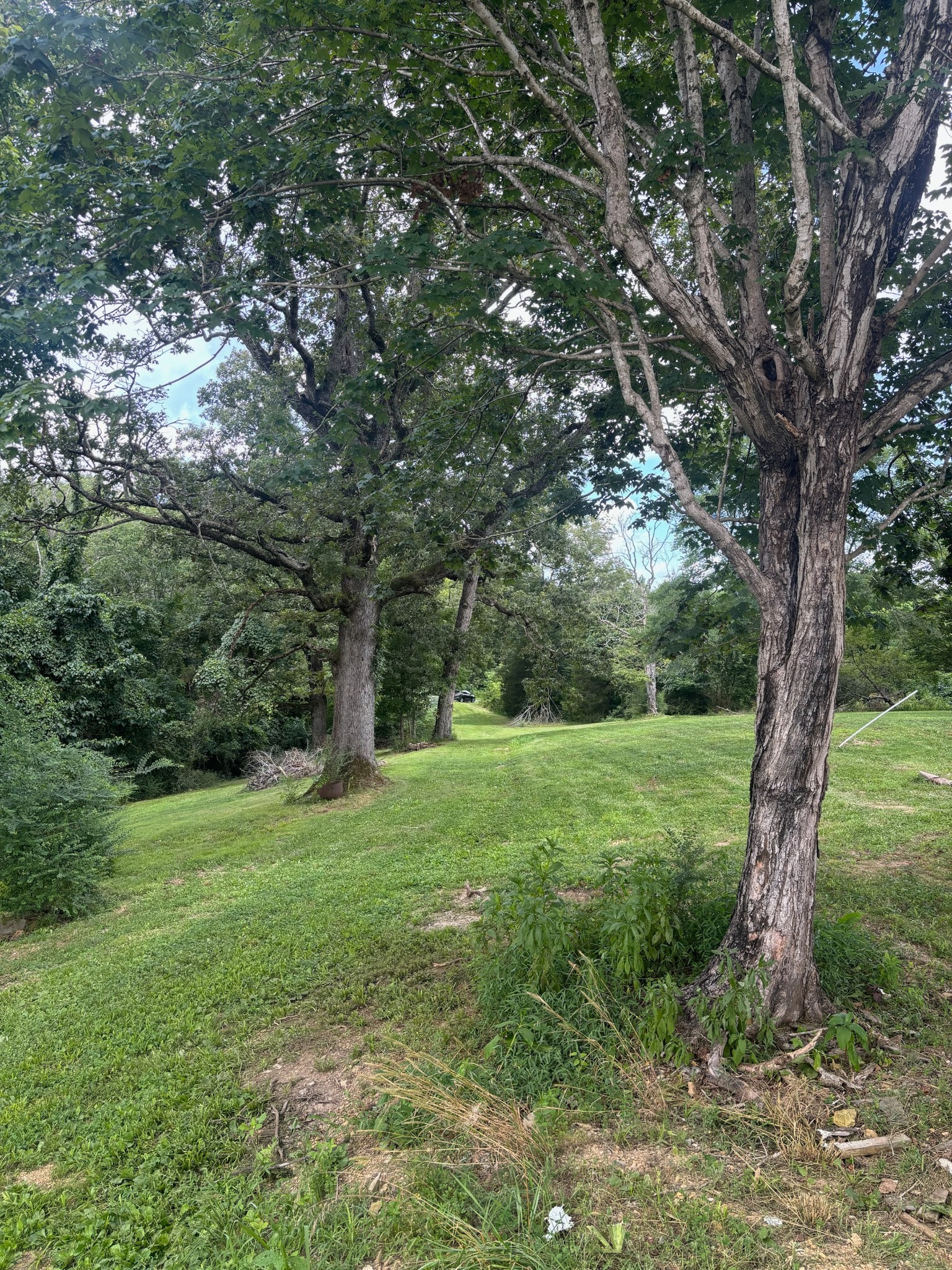 1040 Corlew Road White Bluff TN 37187