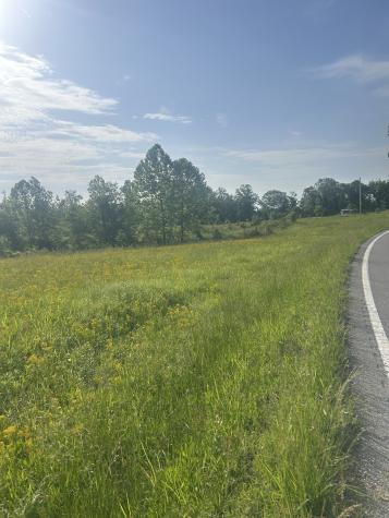 2047 Buffalo Road Hohenwald TN 38462