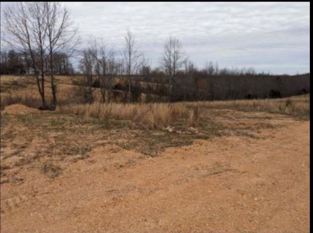 2047 Buffalo Road Hohenwald TN 38462