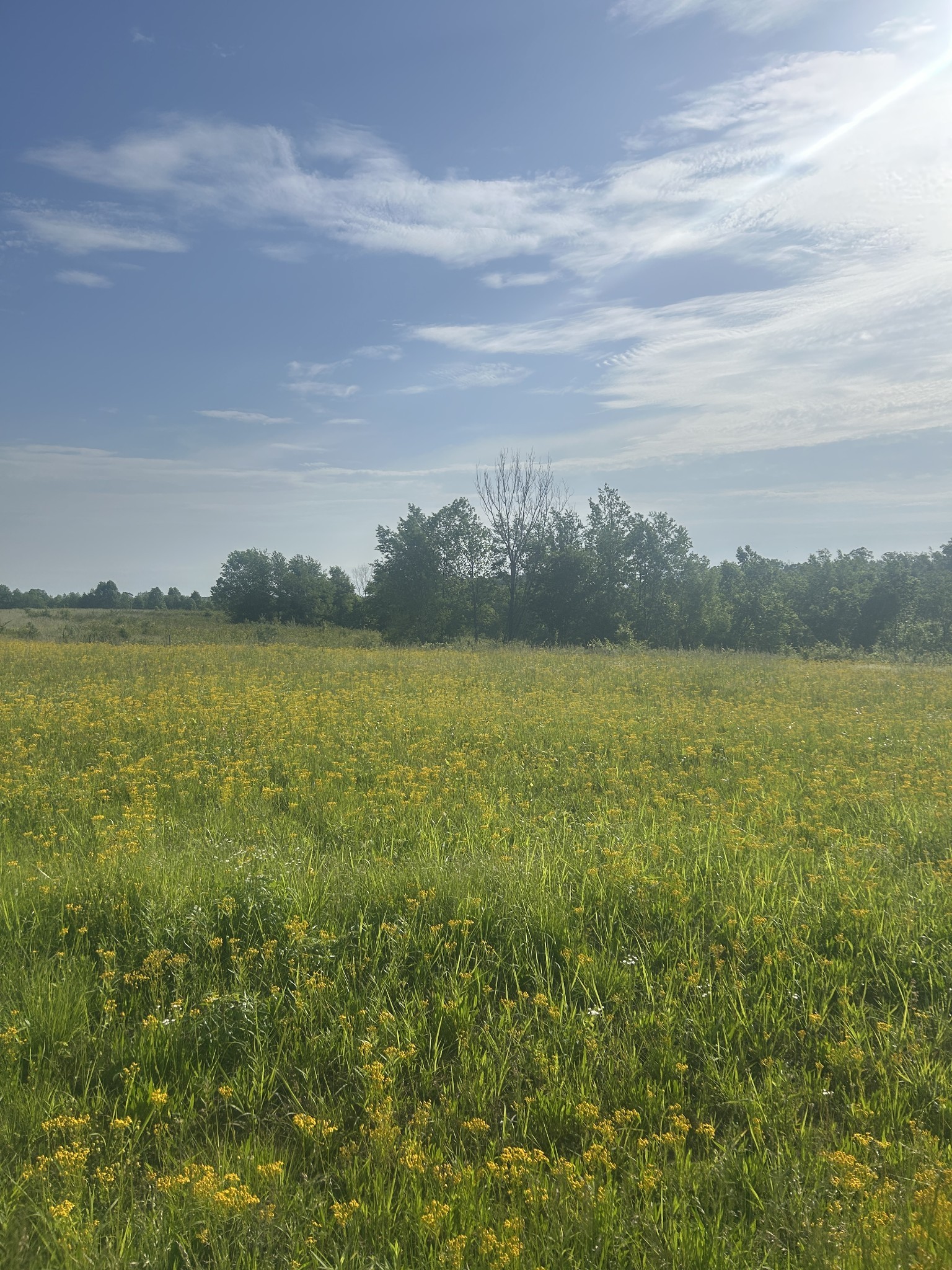 2047 Buffalo Road Hohenwald TN 38462