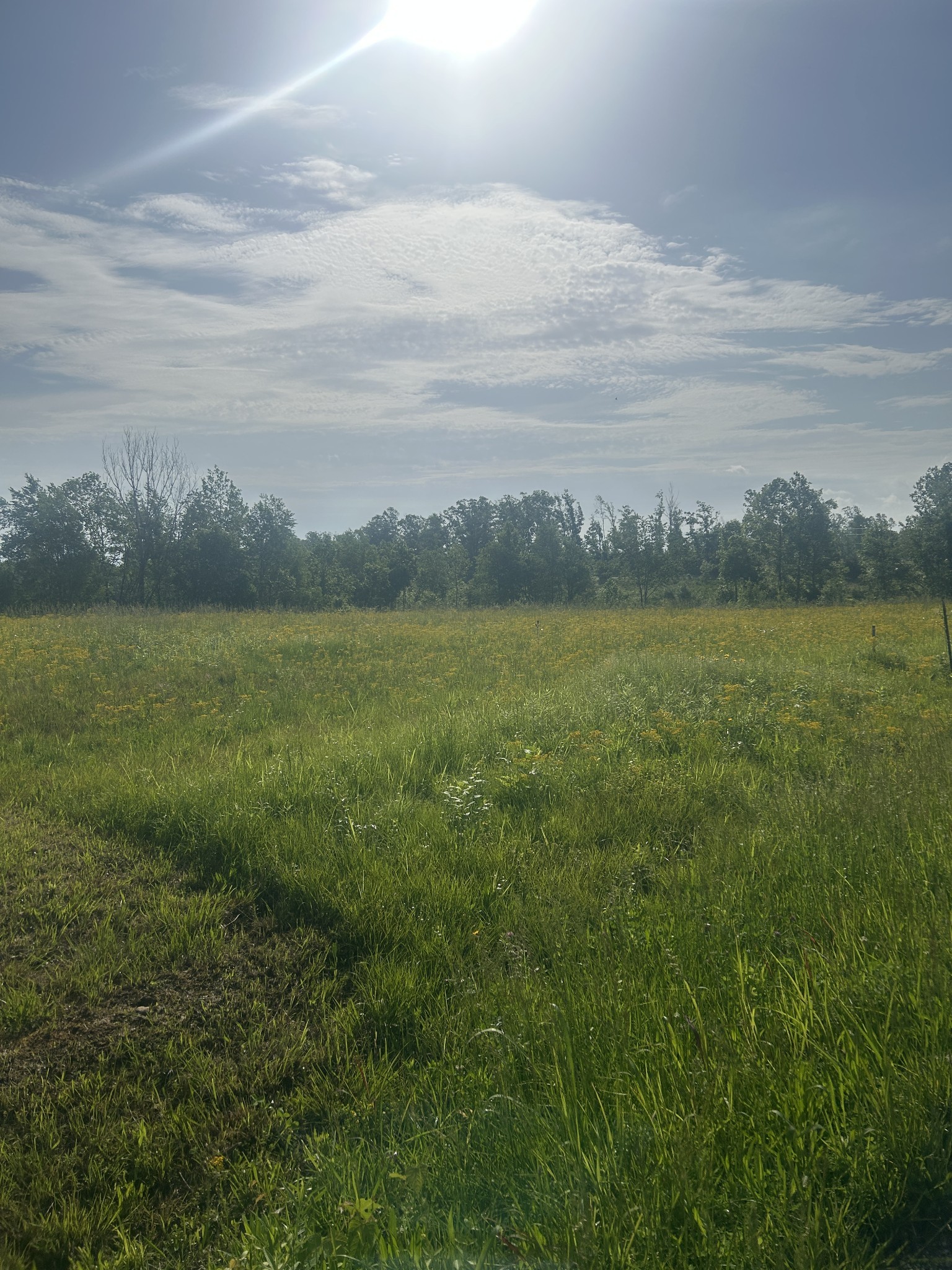 2047 Buffalo Road Hohenwald TN 38462