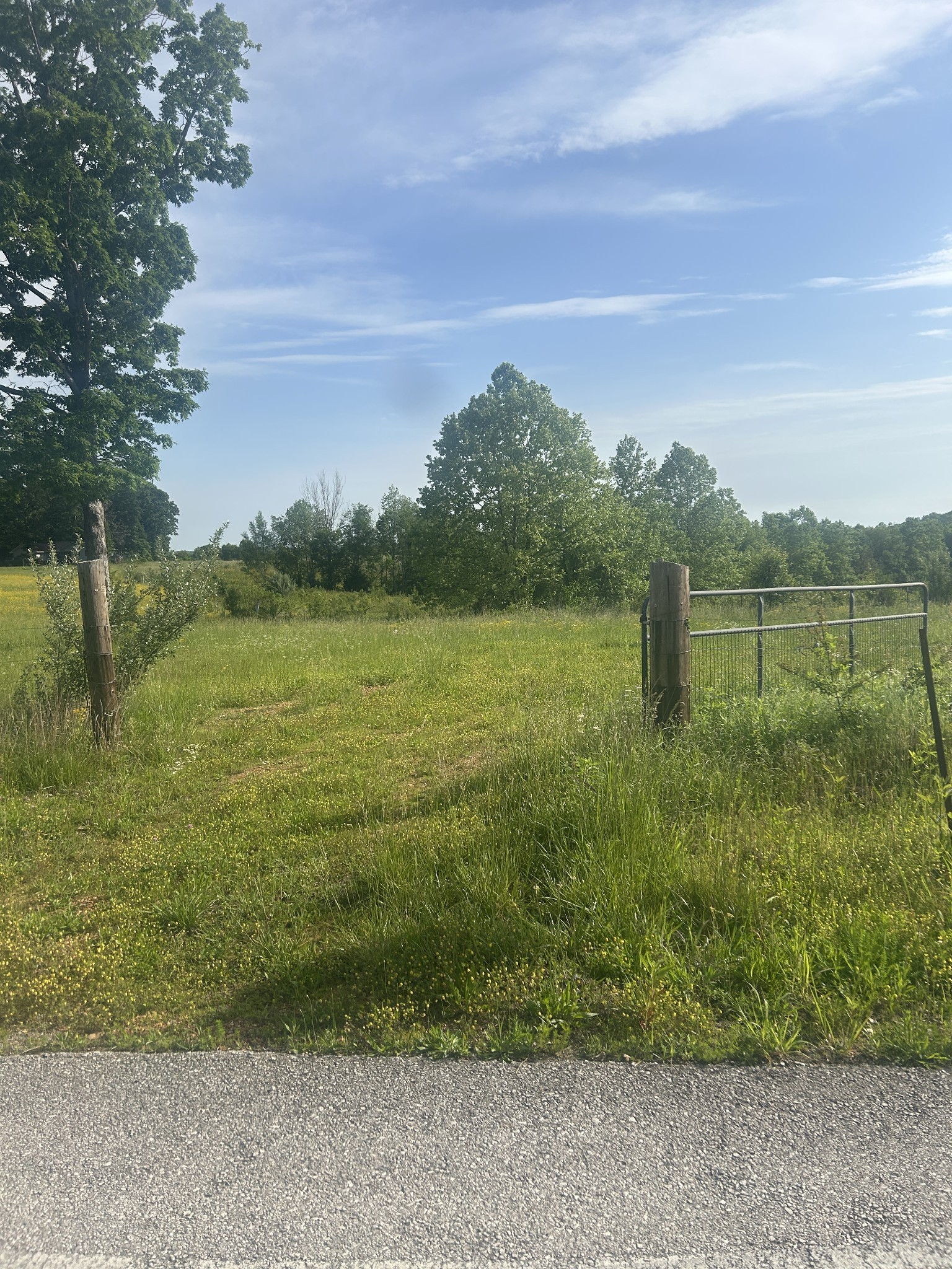 2047 Buffalo Road Hohenwald TN 38462