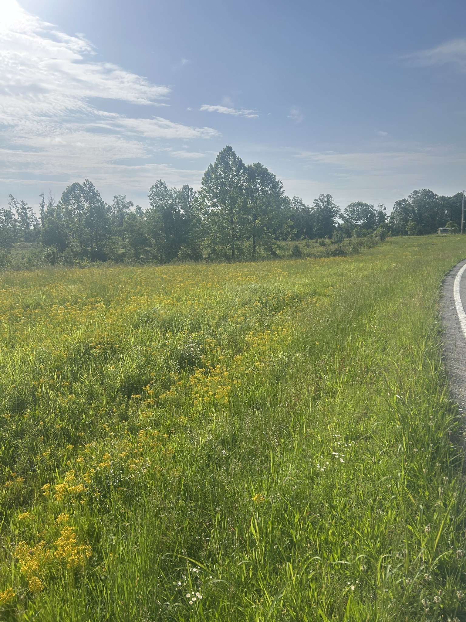 2047 Buffalo Road Hohenwald TN 38462