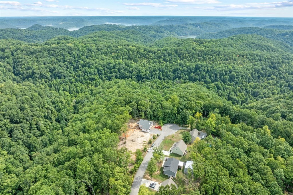 374 Shiloh Lane Smithville TN 37166