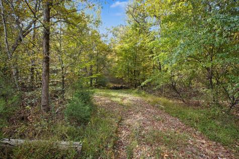 10878 Highway 7 Primm Springs TN 38476