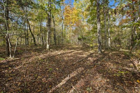 10878 Highway 7 Primm Springs TN 38476