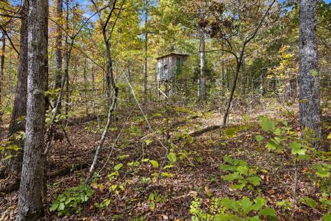 10878 Highway 7 Primm Springs TN 38476