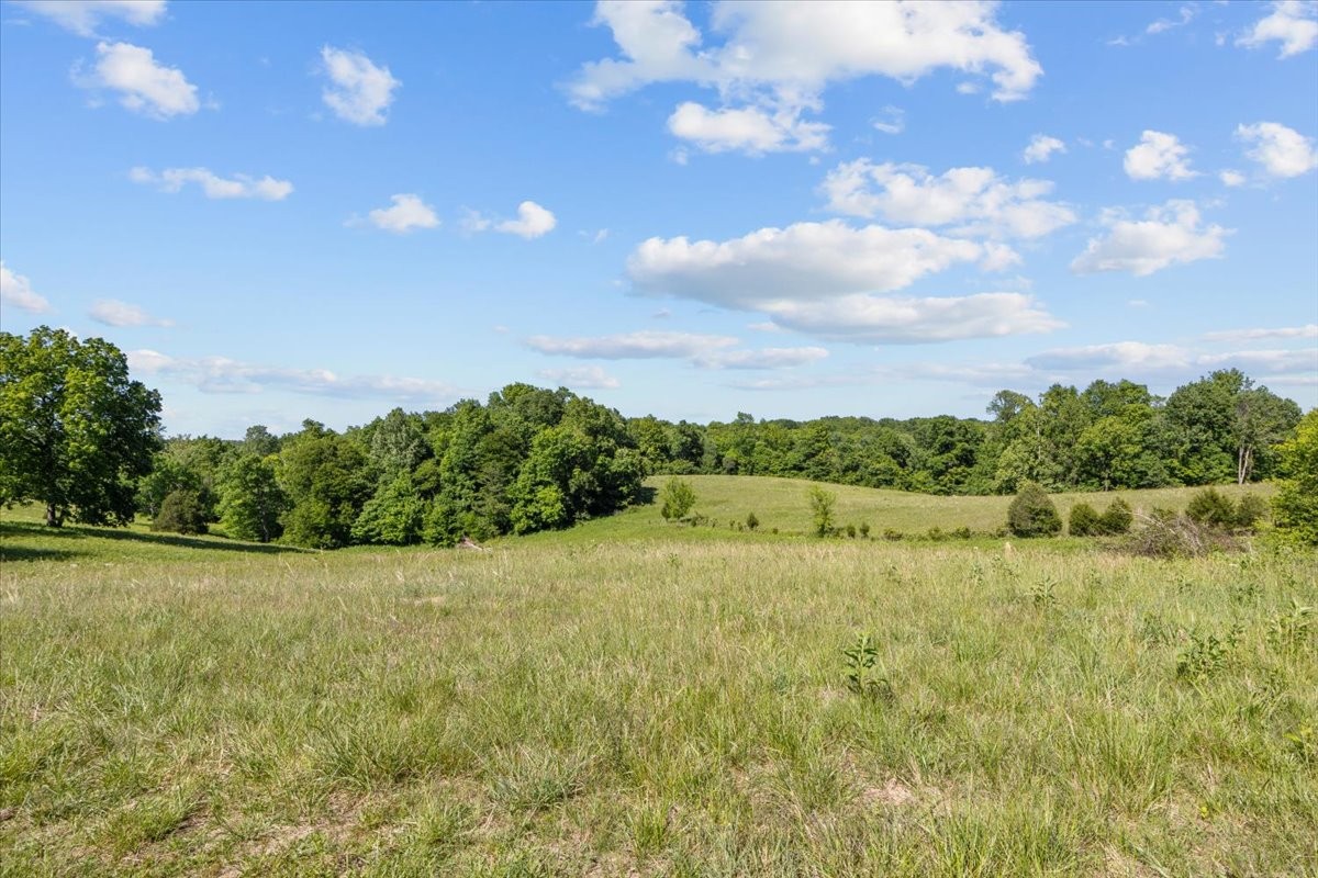 2440 Maple Grove Road Dickson TN 37055