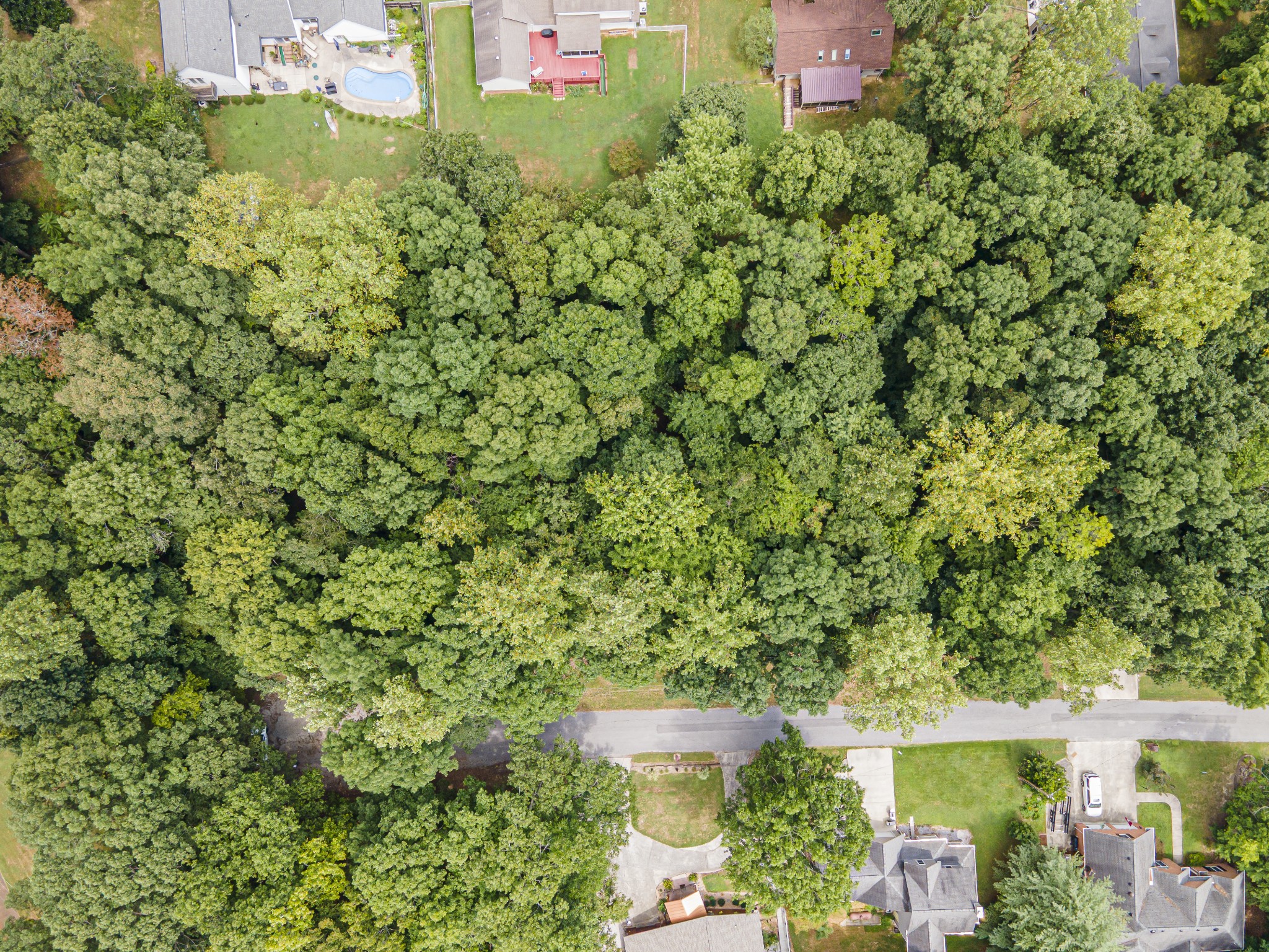 0 Fire Lake Drive Manchester TN 37355