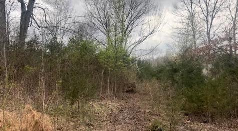 353 Trammel Lane Watertown TN 37184