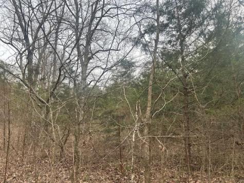 353 Trammel Lane Watertown TN 37184