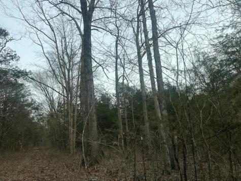 353 Trammel Lane Watertown TN 37184