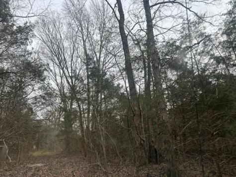 353 Trammel Lane Watertown TN 37184