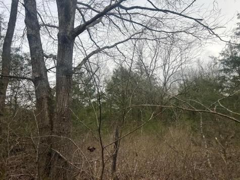 353 Trammel Lane Watertown TN 37184
