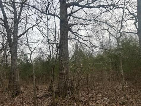 353 Trammel Lane Watertown TN 37184