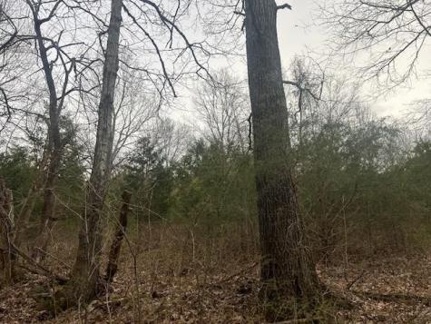 353 Trammel Lane Watertown TN 37184