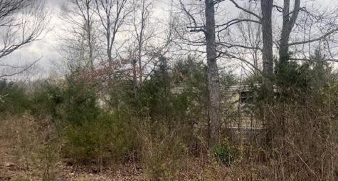 353 Trammel Lane Watertown TN 37184