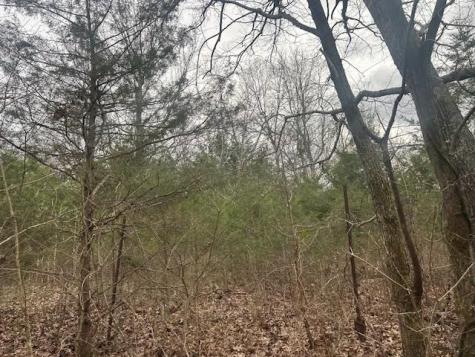 353 Trammel Lane Watertown TN 37184