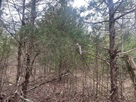 353 Trammel Lane Watertown TN 37184