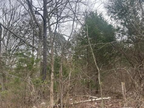 353 Trammel Lane Watertown TN 37184