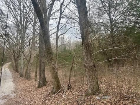 353 Trammel Lane Watertown TN 37184