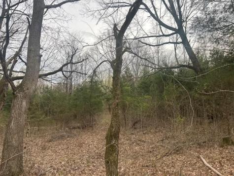 353 Trammel Lane Watertown TN 37184