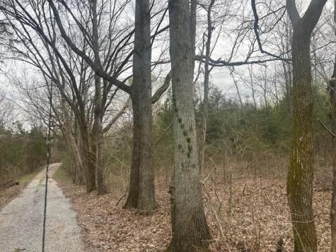 353 Trammel Lane Watertown TN 37184