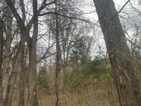 353 Trammel Lane Watertown TN 37184