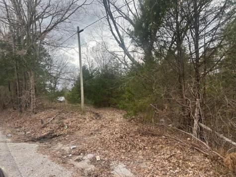 353 Trammel Lane Watertown TN 37184