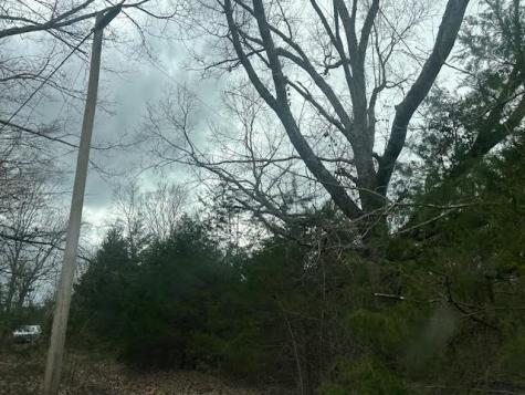 353 Trammel Lane Watertown TN 37184
