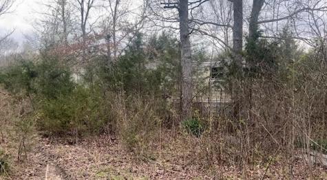 353 Trammel Lane Watertown TN 37184