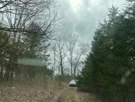 353 Trammel Lane Watertown TN 37184