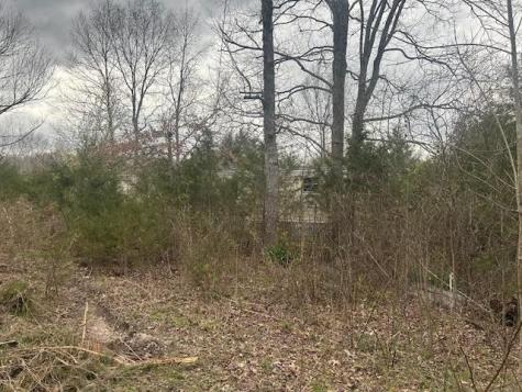 353 Trammel Lane Watertown TN 37184