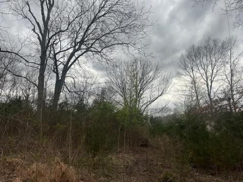 353 Trammel Lane Watertown TN 37184