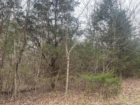 353 Trammel Lane Watertown TN 37184