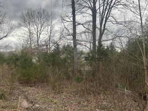 353 Trammel Lane Watertown TN 37184