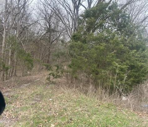 353 Trammel Lane Watertown TN 37184
