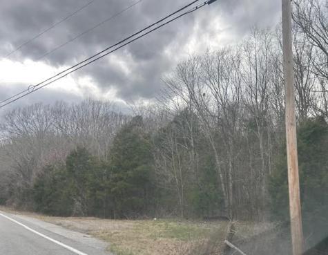 353 Trammel Lane Watertown TN 37184