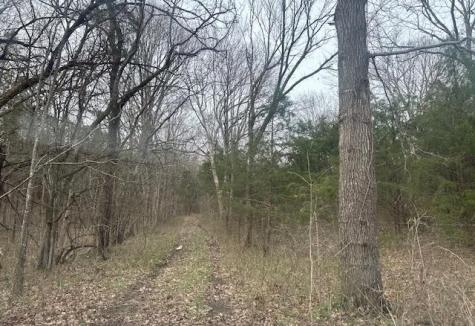 353 Trammel Lane Watertown TN 37184