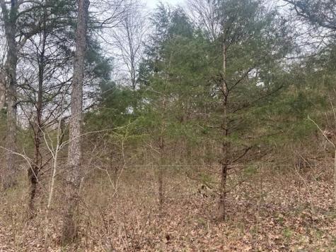 353 Trammel Lane Watertown TN 37184
