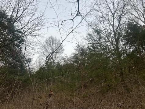 353 Trammel Lane Watertown TN 37184