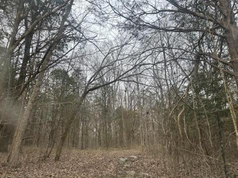 353 Trammel Lane Watertown TN 37184