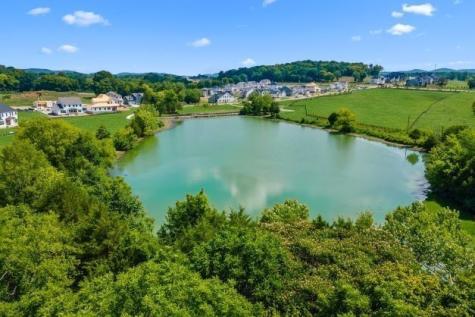 3020 Lilybelle Ct, N Arrington TN 37014