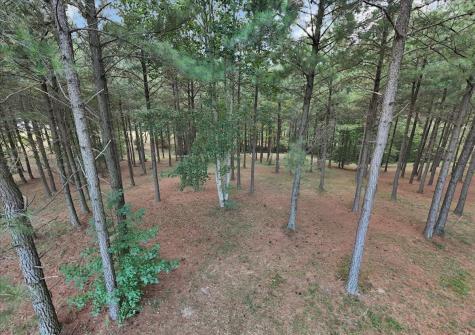 1711 Raulston Falls Road Jasper TN 37347