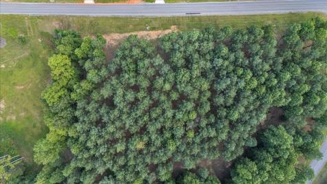1711 Raulston Falls Road Jasper TN 37347