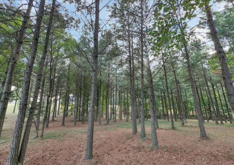 1711 Raulston Falls Road Jasper TN 37347