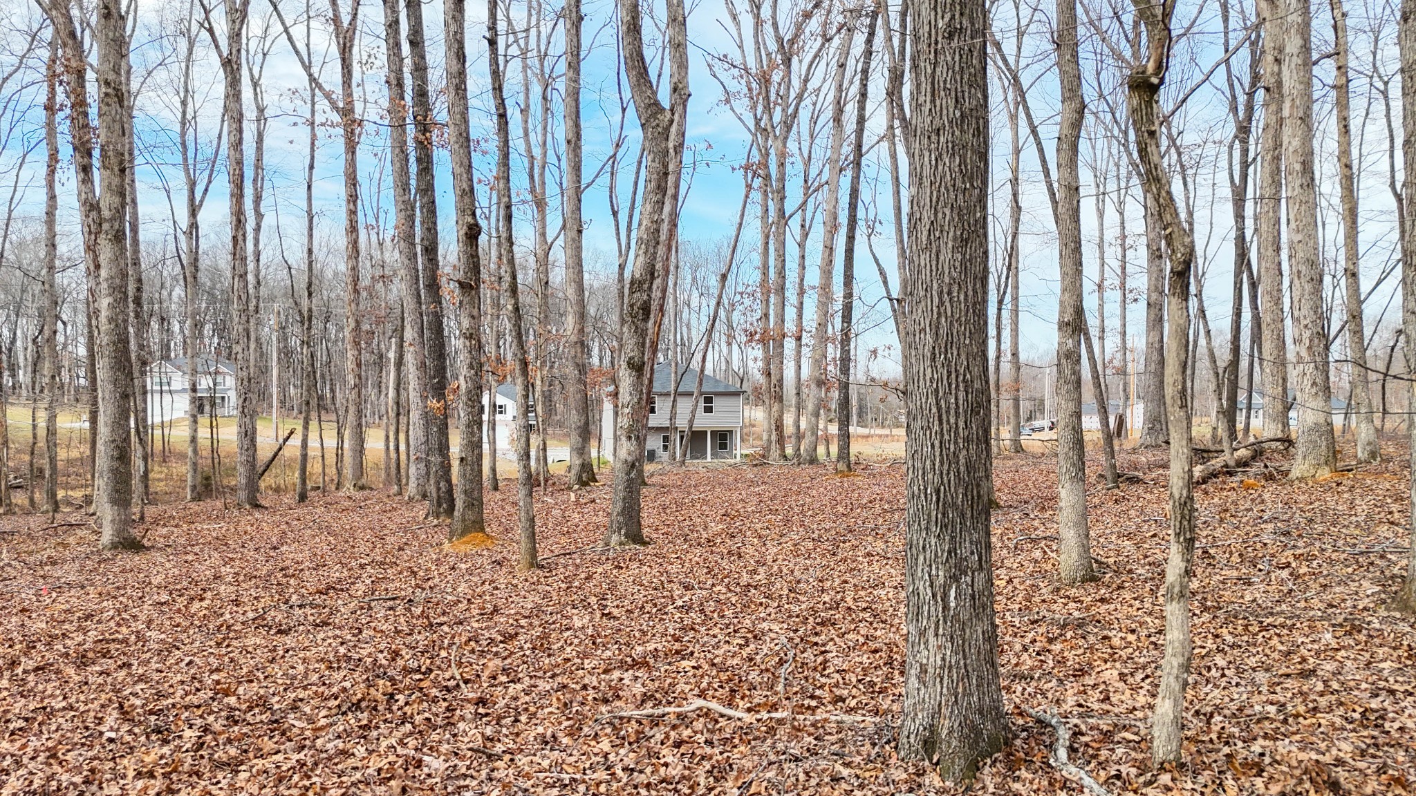 108 Cherry Blossom Way Dickson TN 37055